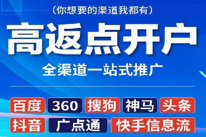 某电商平台的SEM推广实践与效果展示